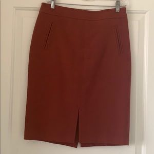 Ann Taylor skirt